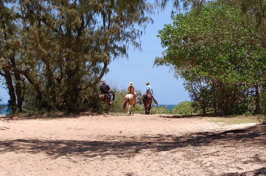 Oahu Horseback Riding