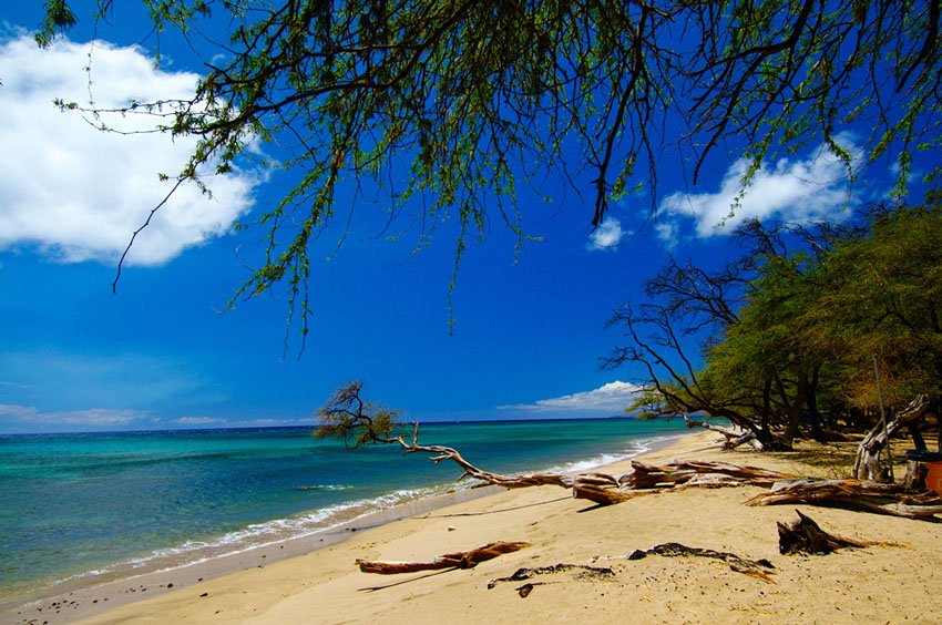 Download this Papalaua Beach Park picture