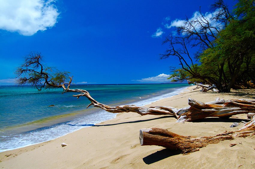Download this Papalaua Beach Park Maui picture