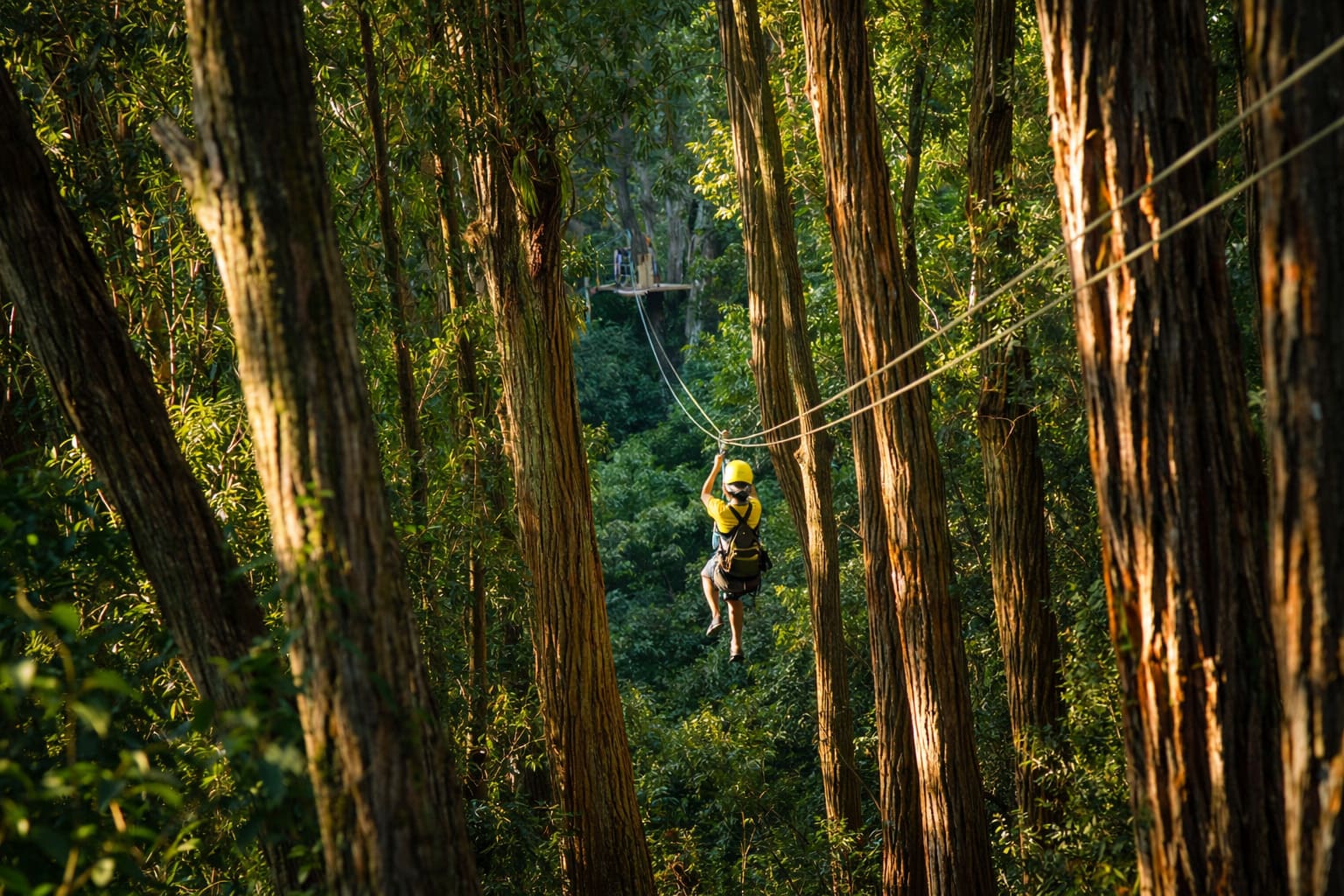 Top Big Island Activities and Experiences