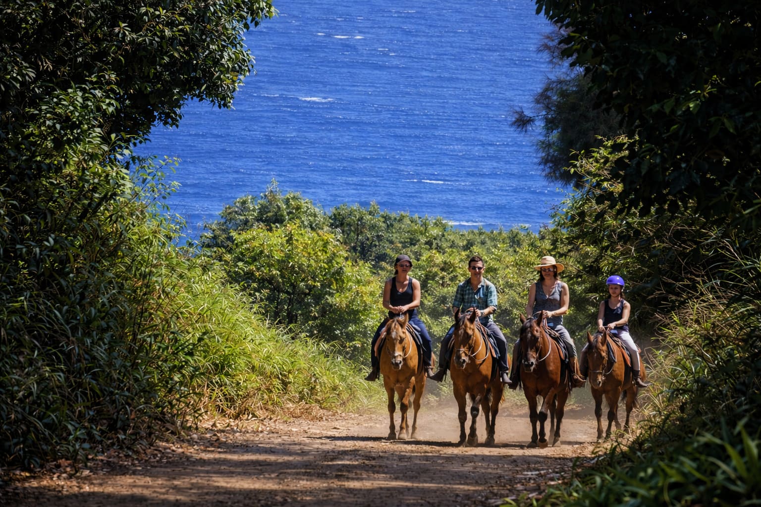 Top Maui Activities and Experiences