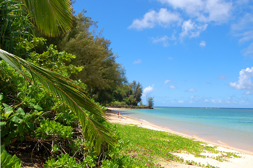 Anini Beach