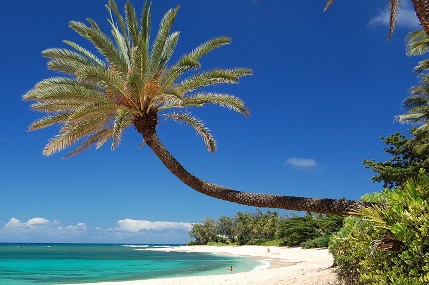 Sunset Beach