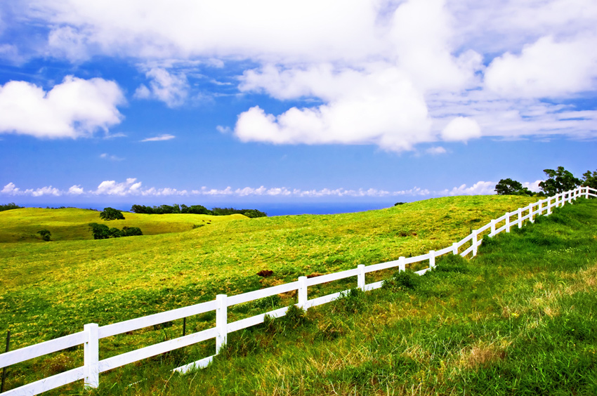 Big Island Landscape