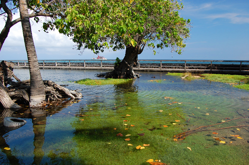 Kalahuipuaa Fishpond