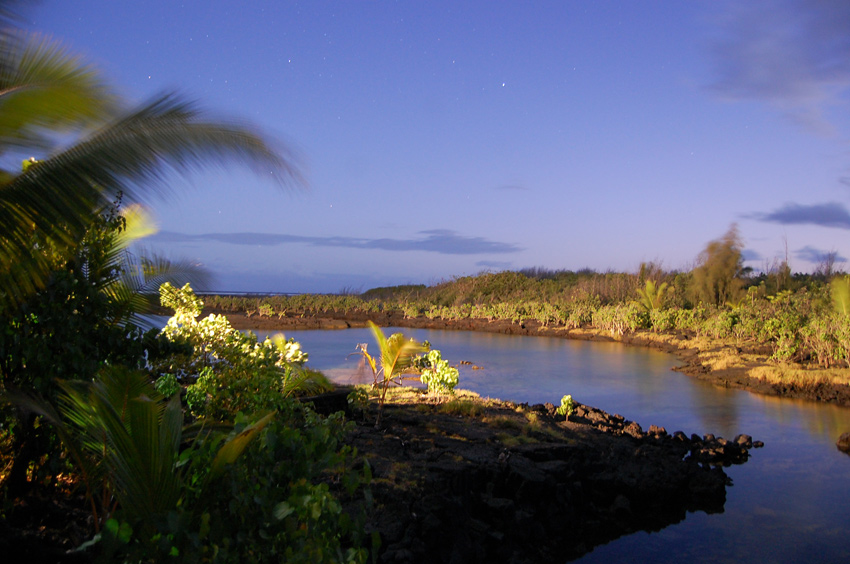 Waiopae Tidepools
