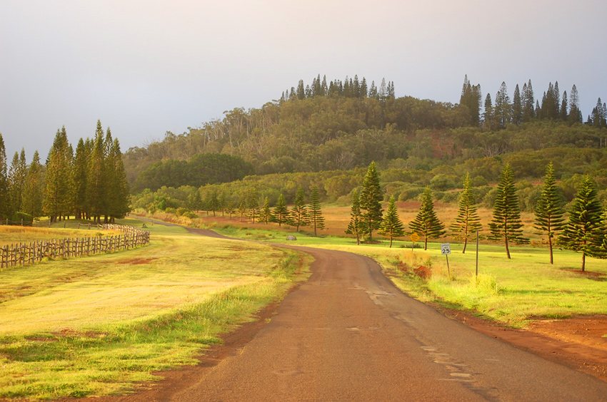 Lanai Landscape 1