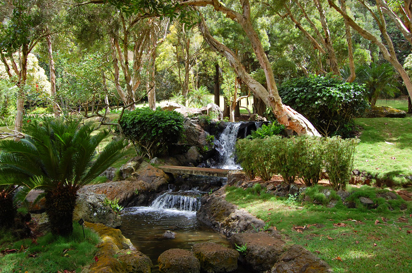 Waterfall Garden