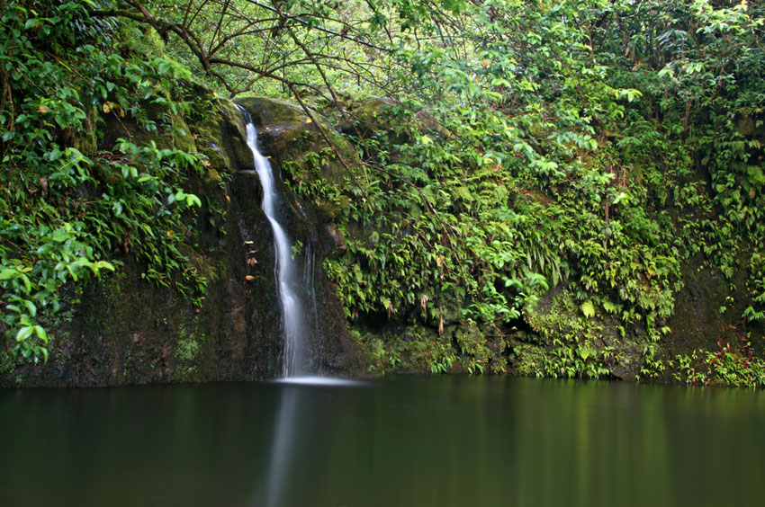 Haipuaena Falls Maui