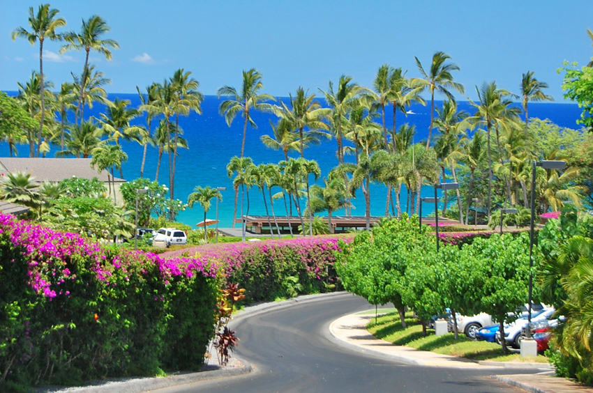 Ulua Street