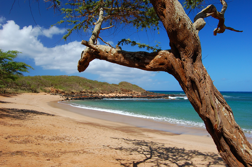 Dixie Maru Cove