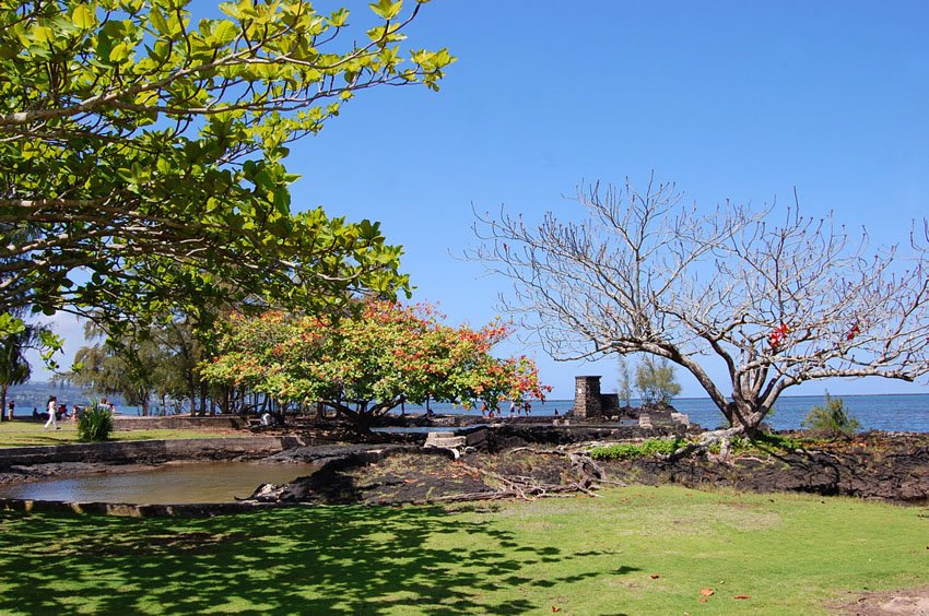 Park in Hilo
