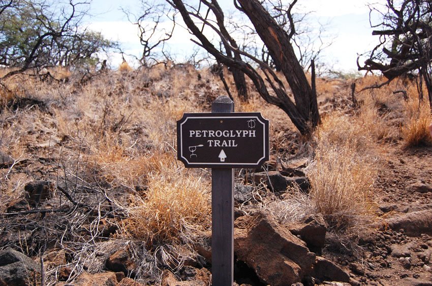 Petroglyph trail