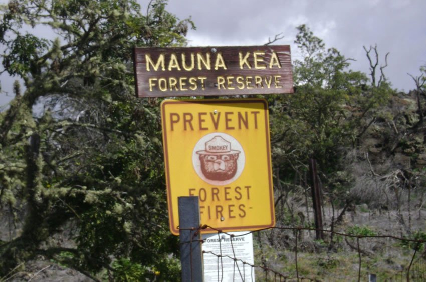 Mauna Kea Forest Reserve