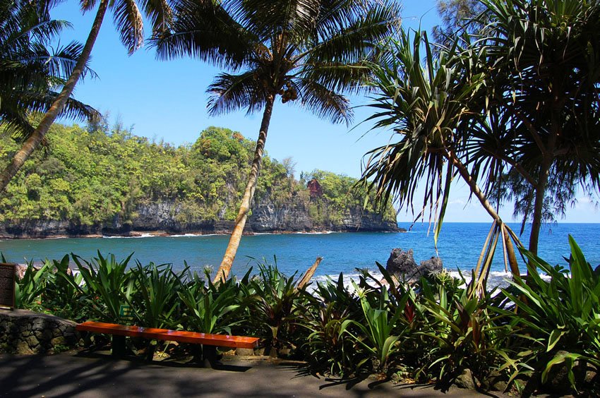 View from Hawaii Tropical Botanical Garden