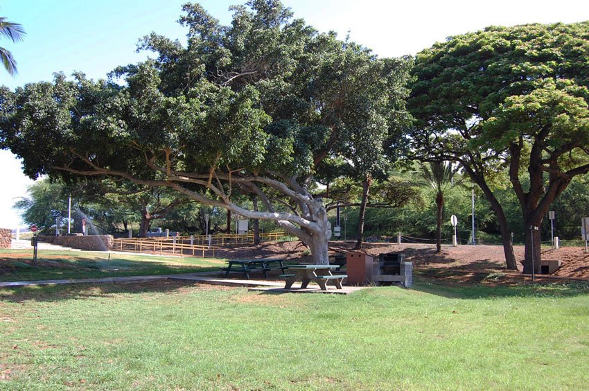 Park area