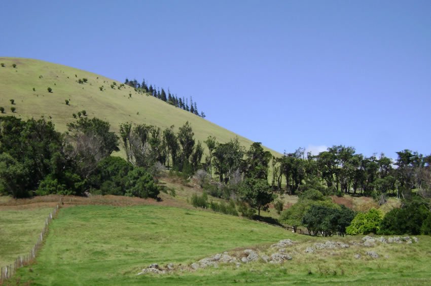 Waimea (Kamuela) scenery