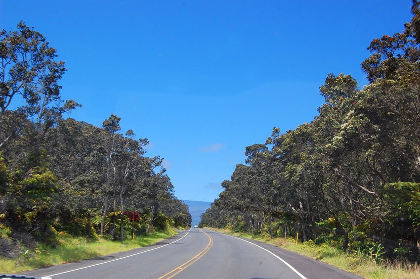 Driving on New Volcano Road
