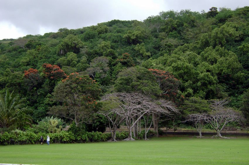 Wai'ohinu Park