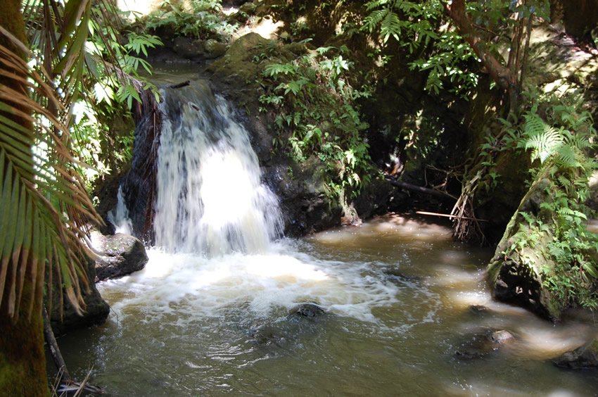 Onomea Waterfall
