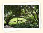 Sadie Seymour Botanical Gardens