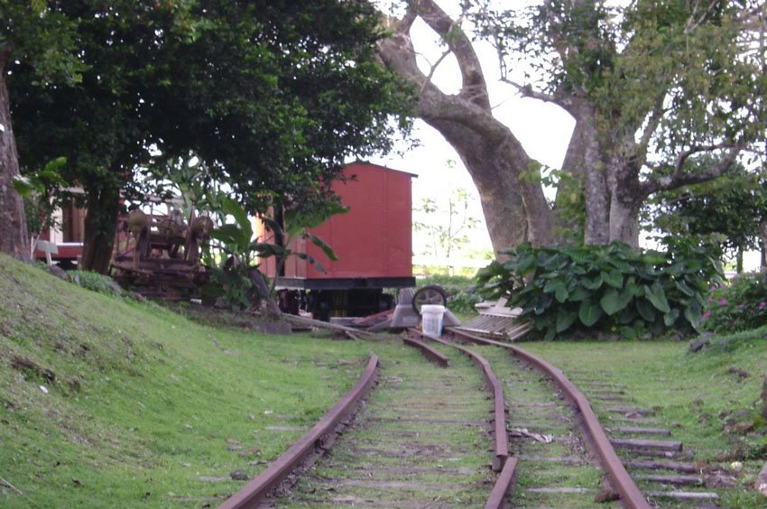 Remains of the train