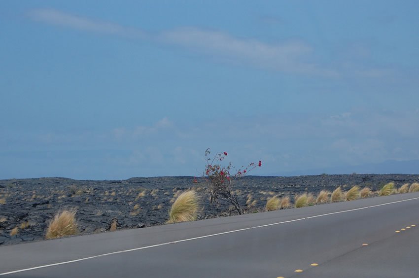 Scenic lava field views