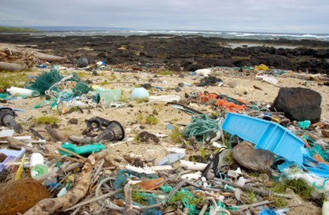 Marine debris on a Hawaiian beach