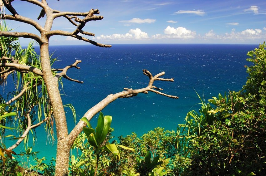 Hawaii Hiking