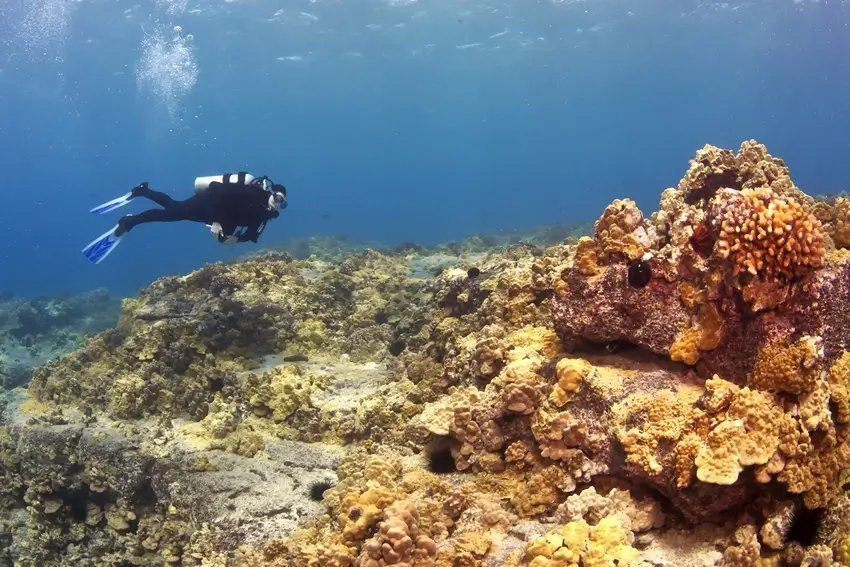 Hawaii Scuba Diving