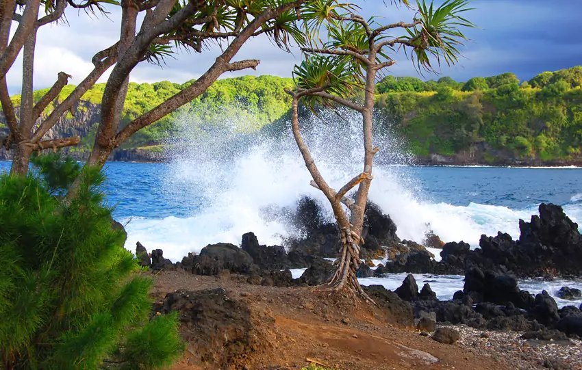 Hawaii Sightseeing