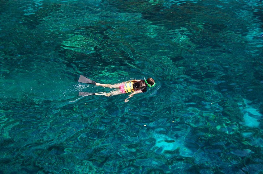 Big Island Snorkeling Tours