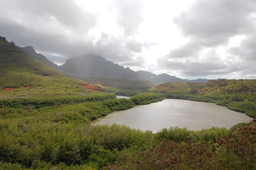 Menehune (Alekoko) Fishpond, Kauai