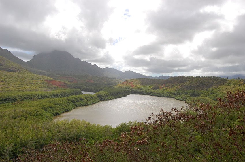 Menehune (Alekoko) Fishpond, Kauai