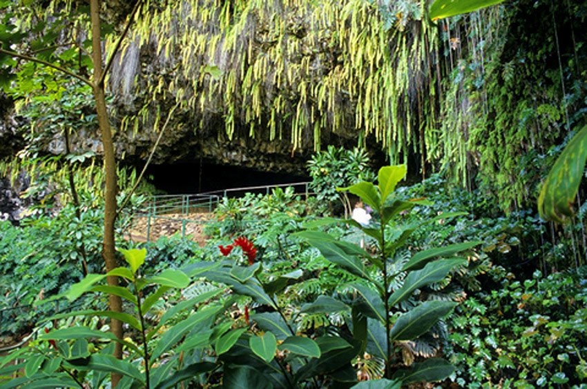 Fern-fringed lava cave