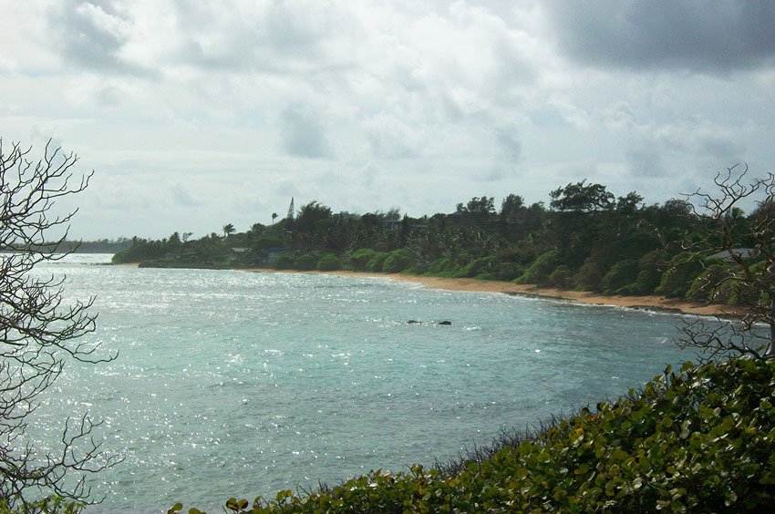 Bluff overlooking Aliomanu Beach