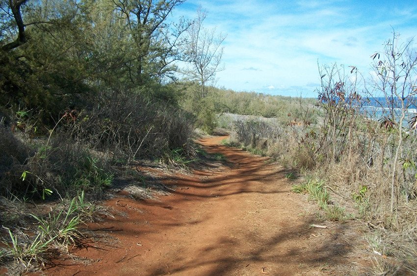 Trail to Larsen's Beach