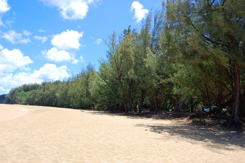 West end of Lumaha'i Beach