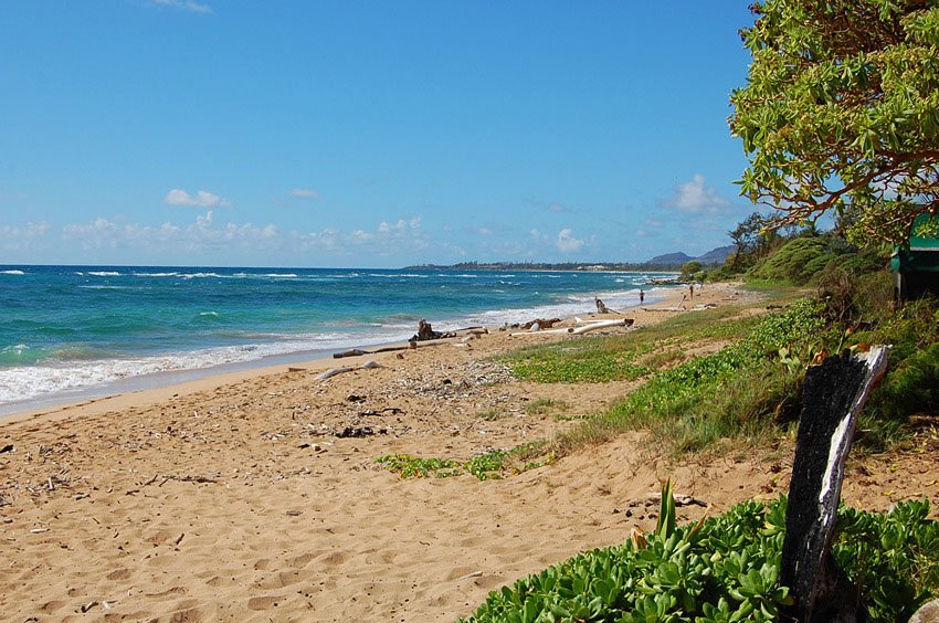 Middle section of Lydgate Beach