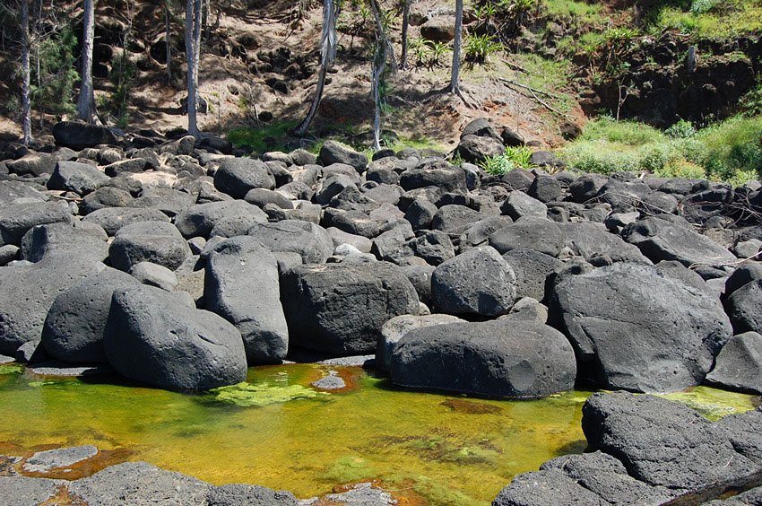 Small yellow-green pools between rocks