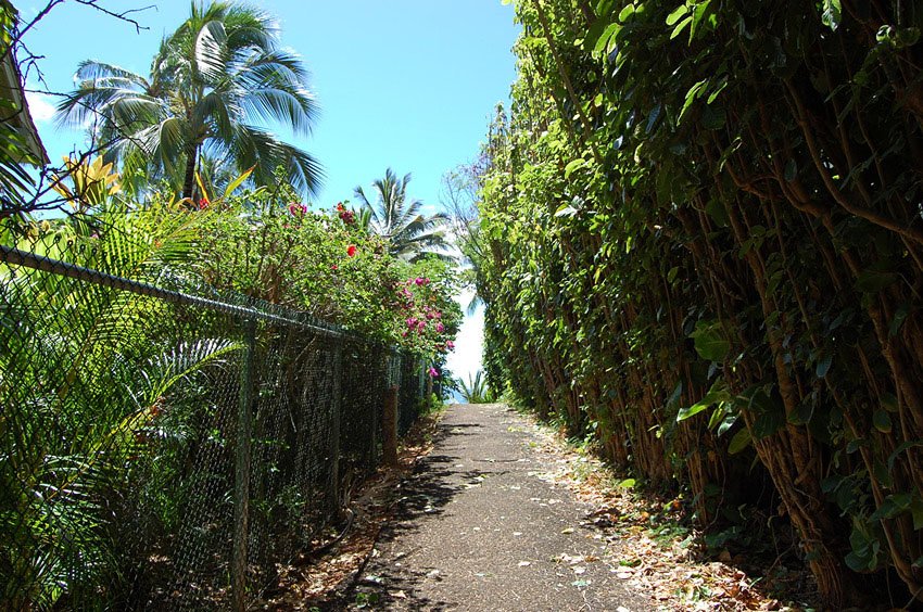 Public beach access from Papaloa Road