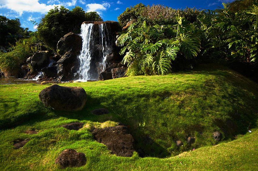 Waterfall surrounded by tropical vegetation