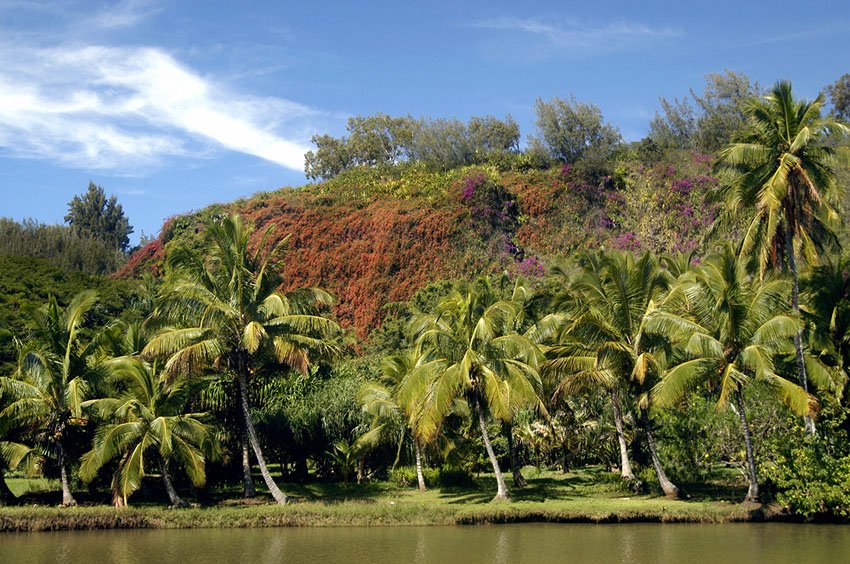 Allerton Garden Kauai