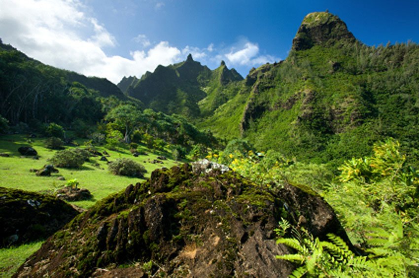 Limahuli garden