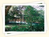 McBryde Tropical Botanical Garden