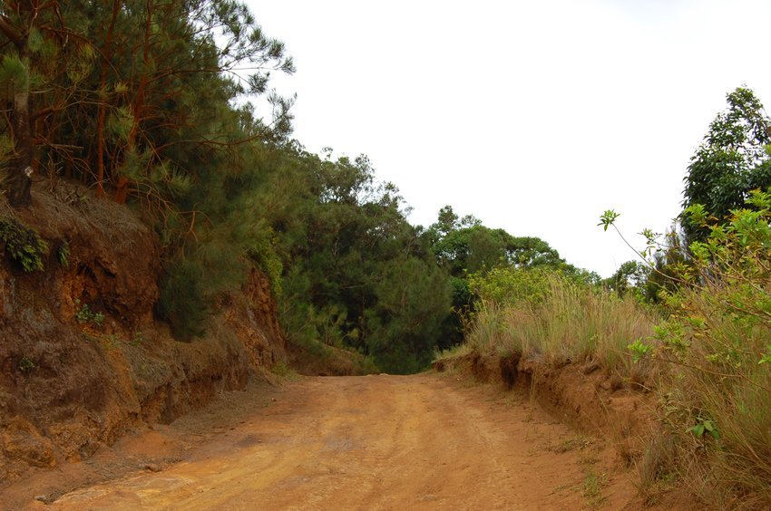 Four-wheel dirt road