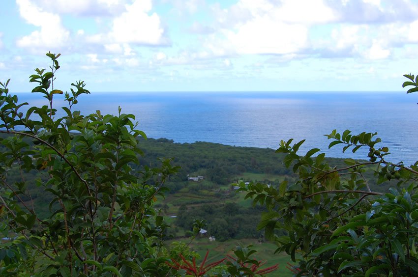 View from the Road to Hana