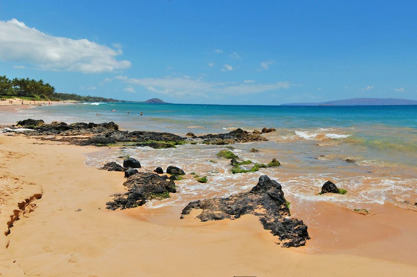 Popular Maui beach