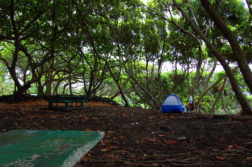 Camping at Waianapanapa