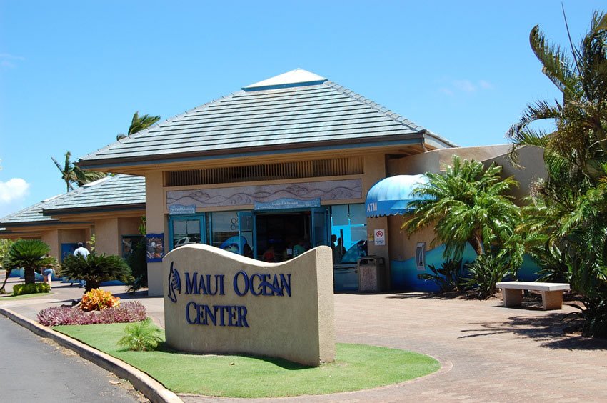 maui ocean center hawaii maalaea alaea ma